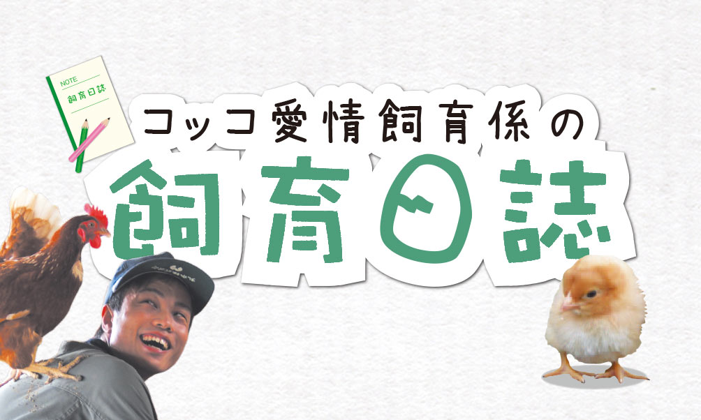 コッコ愛情飼育係の飼育日誌 6月号 大江ノ郷自然牧場 読みもの