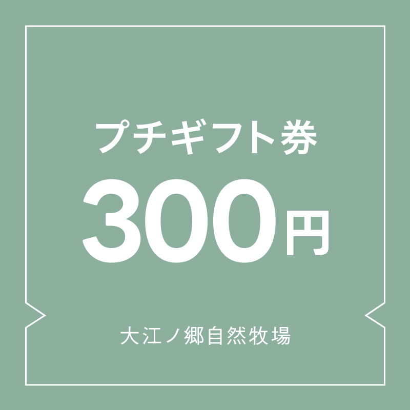 プチギフト券300円